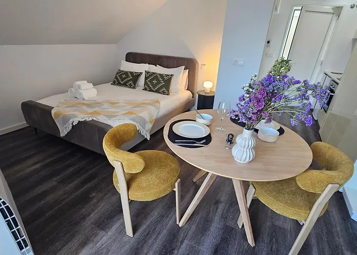 A Proa Do Moliceiro Canal - Salty Lagoon Views